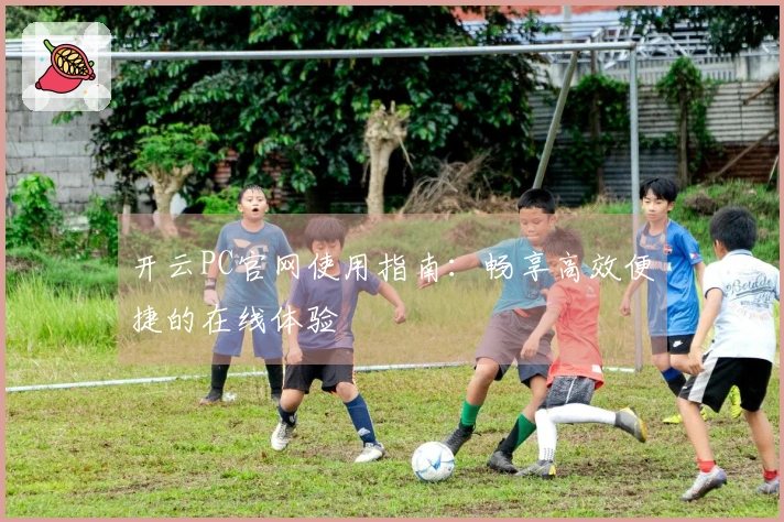 开云PC官网使用指南：畅享高效便捷的在线体验