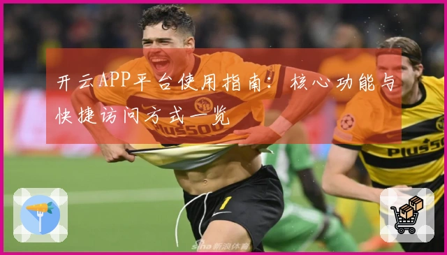 开云APP平台使用指南：核心功能与快捷访问方式一览